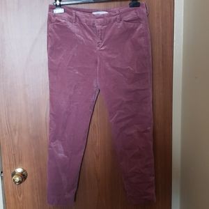 Pixie velvet pant